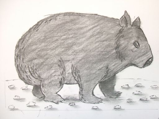 wombat.jpg